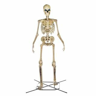 12 pėdų milžiniško dydžio skeletas 