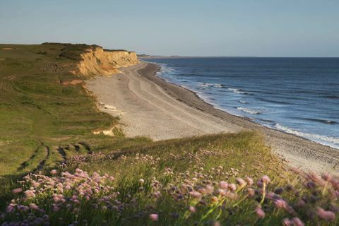 „Sheringham Park“ paplūdimys © „National Trust“ Justinas Minnsas