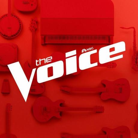 Transliuoti „The Voice“ serijas