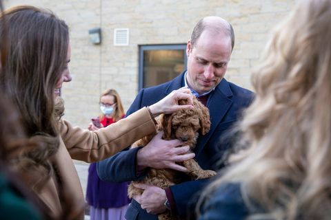 Kembridžo kunigaikštienė su cockapoo šuniuku