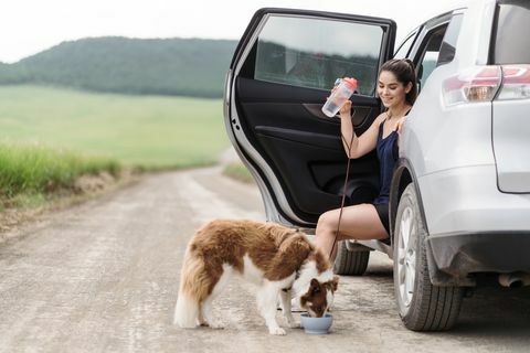 jauna moteris lotynė sėdi savo automobilyje atidarytomis durimis kaimo kelyje ir šuo geria vandenį iš dubens