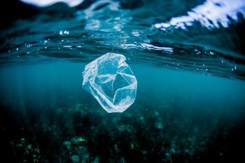 plastikinis maišelis, plūduriuojantis virš rifo vandenyne, Kosta Rika