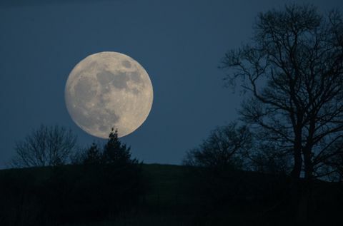 Vilkas Mėnulis pakyla virš Glastonberio priešais sunkių orų įspėjimus