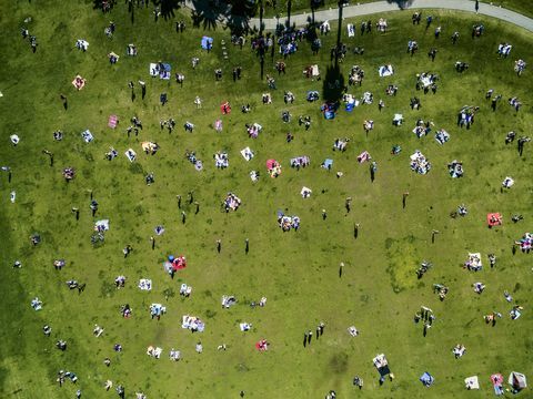 Viršutinis vaizdas miesto parke vasaros dieną sėdintiems, stovintiems ant pikniko kilimėlių.