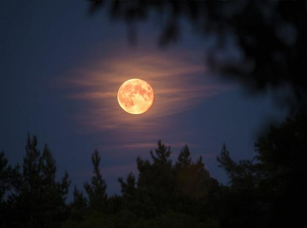 Kas yra medžiotojo mėnulis? Tvarkinga istorija už spalio mėnulio pilnaties