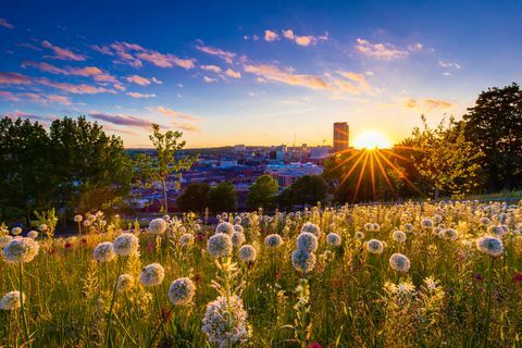 Saulė leidžiasi virš Šefildo miesto horizonto