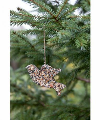 naminis paukščių sėklų kalėdinis ornamentas