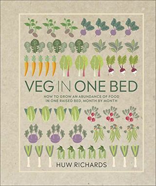 Daržovės vienoje lovoje: kaip užsiauginti maisto gausą vienoje pakeltoje lovoje, kas mėnesį