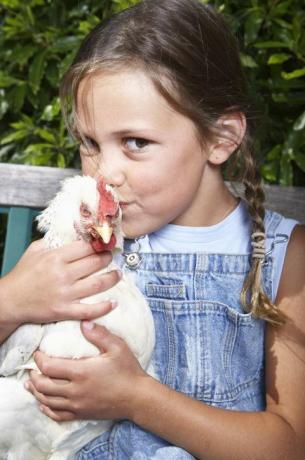 CDC perspėja prieš bučiuojančius viščiukus