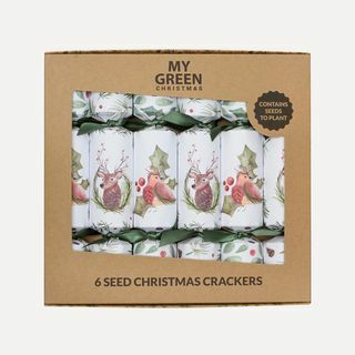 Sėklų Kalėdų krekerių dėžutė iš šešių