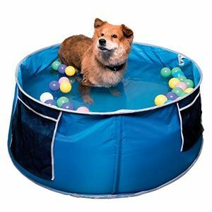Šaunus klubo šunų irklavimo baseinas mėlynas