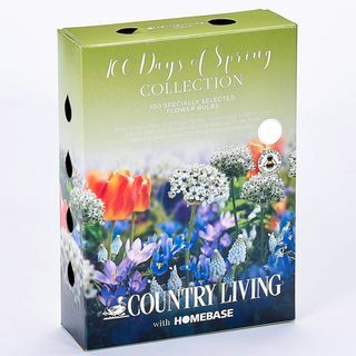 Country Living 100 Days of Spring Gėlių svogūnėlių kolekcija