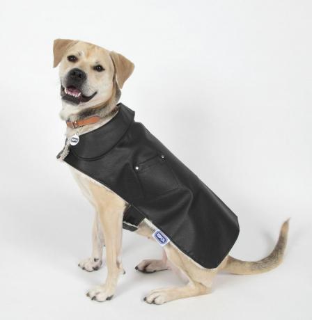 RSPCA juoda odinė ir perlinė pliušinė šunų striukė - kalėdinė dovana