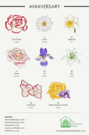 gėlių infografijos vestuvių metinės