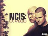 NCIS: Los Andželo 10 sezonas