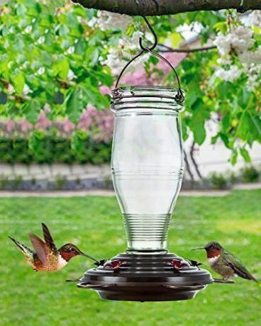 Vintage stiklinis kolibrių tiektuvas