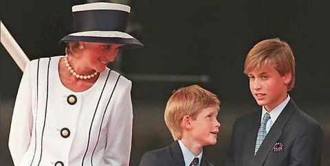 Princas Williamas ir princas Harry kalba apie apgailestavimą dėl „skubėto“ paskutinio skambučio su princese Diana