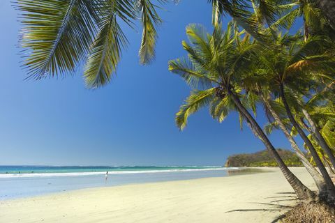 Kosta Rikos paplūdimys