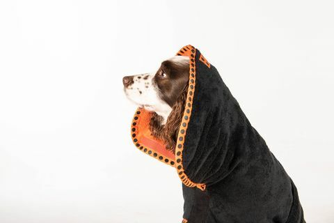 „Ruff and Tumble“ pristato naują šunų džiovinimo paltą su „Crufts“