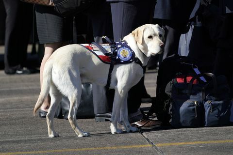 Išvykimo ceremonija vyko kaip prezidento Busho kūnas nuskraidintas į Vašingtoną