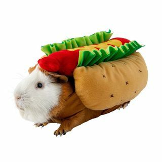 Hot dog kostiumas