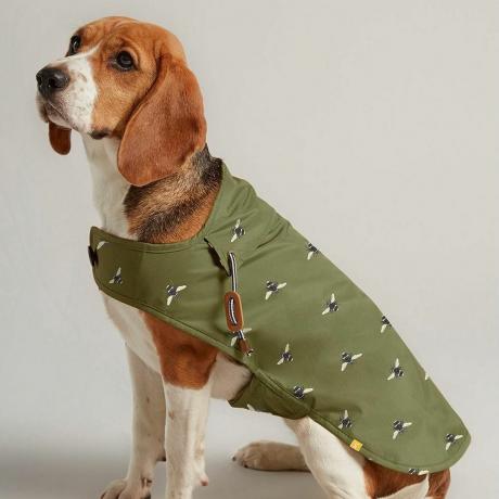 Alyvuogių žalios spalvos vaškuotas šuns kailis