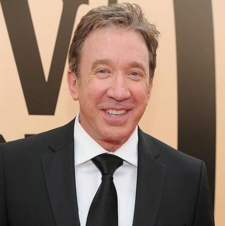 kas yra taco ant užmaskuotos dainininkės tim allen