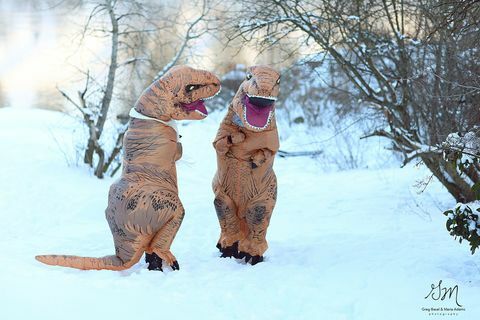 „T-rex“ sužadėtuvių fotosesija