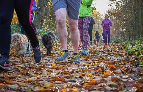 <p> Jei dar nesportuojate, tada 2018-uosius paskelbkite starto metais. O kas geriau, nei užsiregistravus vienam iš vis augančių <a href = " http://www.parkrun.org.uk/">parkrun</a> įvykiai? Šiuo metu visoje šalyje kiekvieną savaitgalį vyksta 682 parkrunai, kuriuose kiekvieną savaitę dalyvauja apie 130 000 žmonių - tai yra 33 000 daugiau nei praėjusiais metais - ir dar bus renginių. </p> <p> <strong data-redactor-tag = "strong"> Jums reikės: </strong> <br> </p> <p> <span class = "redactor-invisible-space"> Tiesiog gera bėgimo batelių pora ir tinkama apranga. Dalyvauti galima nemokamai (tiesiog iš anksto užsiregistruoti internetu) ir jis puikiai tinka visiems sugebėjimams - pradedantieji gali tiesiog lengvai suskaityti porą laisvo laiko kilometrų. </span> </p> <p> <strong data-redactor-tag = "strong"> Kas yra šalia jūsų? </strong> <br> </p> <p> Kiekvienas „Parkrun“ yra nustatytas gražiais nustatymais., taigi ir dekoracijos, ir palaikančios minios paskatins jus. Apsilankykite <a href = " http://www.parkrun.org.uk/" target = "_blank" data-tracking-id = "recirc-text-link"> parkrun svetainė </a> įvykiams šalia jūsų. </p>