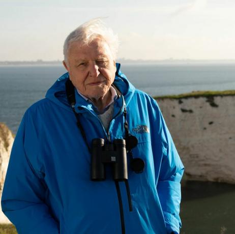laukinės salos, 2023 m. 02 12, mūsų brangios salos, 1, seras Davidas Attenborough, seras Davidas Attenborough pristato laukinių salų serialą auštant senoms Harrys uoloms, Dorsetas, JK 2022 m., Sidabriniai filmai, chrisas Hovardas