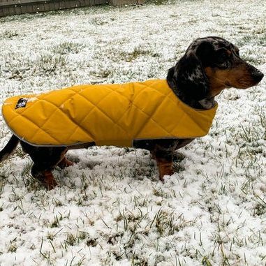 Vandeniui atsparus takso kailis pagal užsakymą