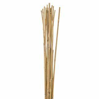 Bambuko lazdos