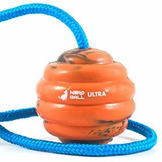 Nero Ball Ultra TM – šunų dresavimo kamuolys ant virvės – mankštos ir apdovanojimo žaislas šunims