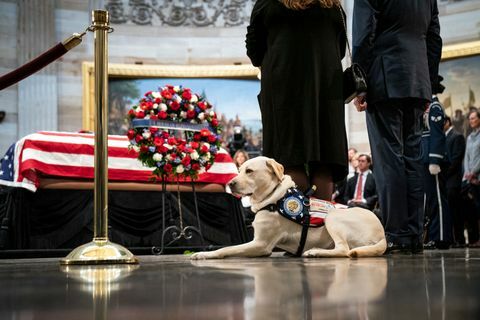 Prezidentas George'as H.W. Bushas guli valstijoje JAV kapituloje