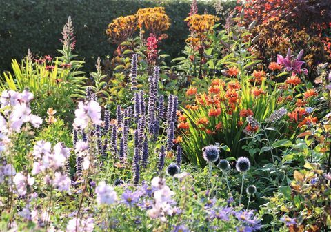 Dunvoristinis kotedžas, angiai, žoliniai daugiamečiai augalai - Škotijos sodų schema