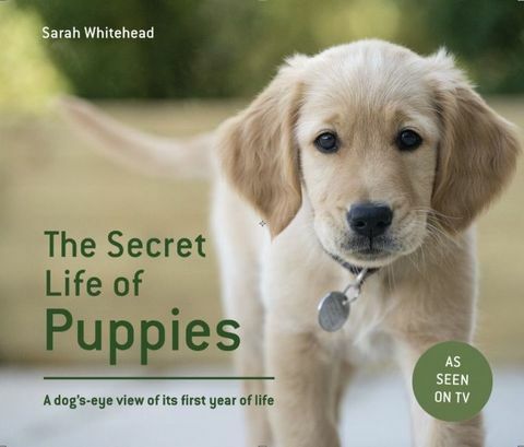 slapto gyvenimo pf šuniukų knyga