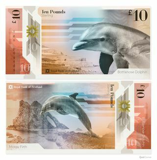 Delfinų banknoto nuotrauka