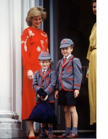 Princas Harry, princas Williamas mokykloje