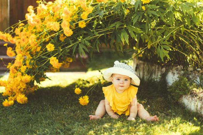 sode po dideliu geltonu gėlių krūmu sėdi mergaitė su kepure nuo saulės
