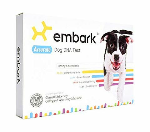 „Amazon Prime“ dienai skirtas „Embark Dog DNA“ rinkinys yra žaibiškas
