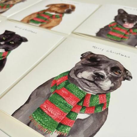 „Streetvet“ pristato kalėdinius atvirukus, skirtus naminių gyvūnėlių benamystei palaikyti