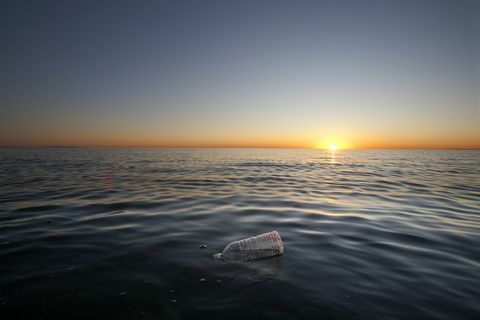 Plastikinis vandens butelis, plaukiojantis Ramiajame vandenyne, Santa Monikoje, Kalifornijoje, JAV