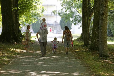 Saltram Devon © „National Trust Images“ Chrisas Lacey