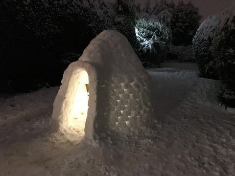 Igloo