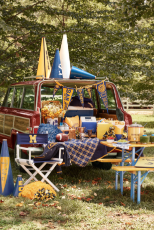 miškingas vagonėlis, geltonos ir mėlynos spalvos, skirtas futbolo bagažinei