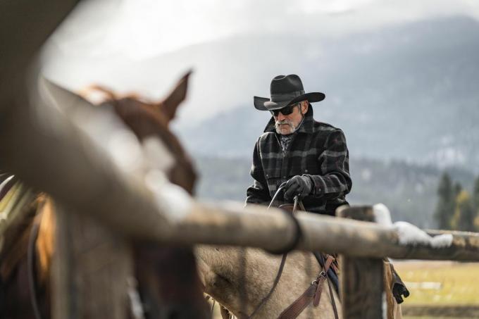 forrie j Smith ant yellowstone