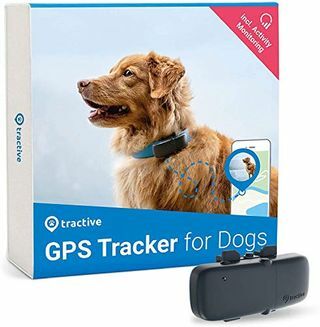 Traktinis GPS seklys šunims