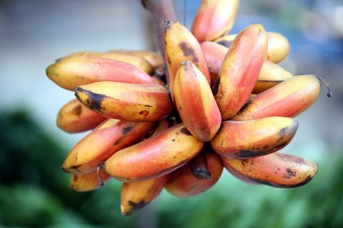 rausvas bananas