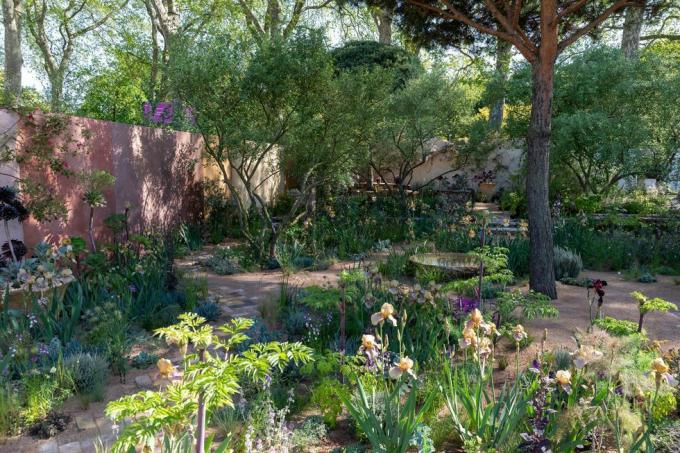 chelsea gėlių paroda 2023 m. sodininkystės sodo dizainas puoselėja kraštovaizdžius