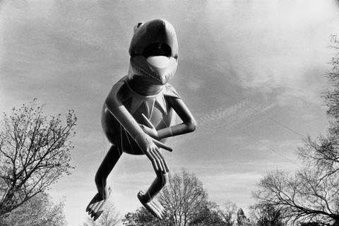 Kermit varlės balionas 1990 m. Macy padėkos dienos parade